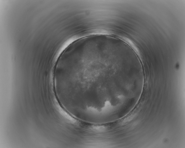 X0000092011243200709131528