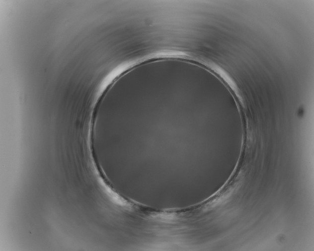 X0000092011245200709131528