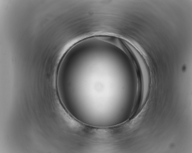X0000092011246200709131528