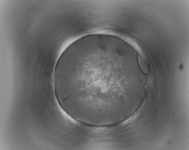 X0000092011247200709131528