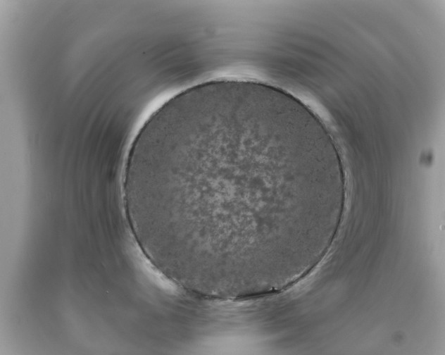 X0000092011248200709131528