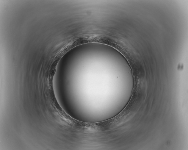 X0000092011250200709131527