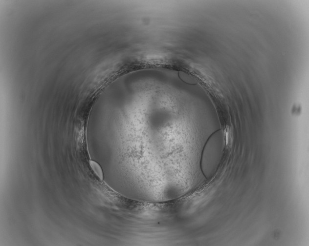 X0000092011251200709131527