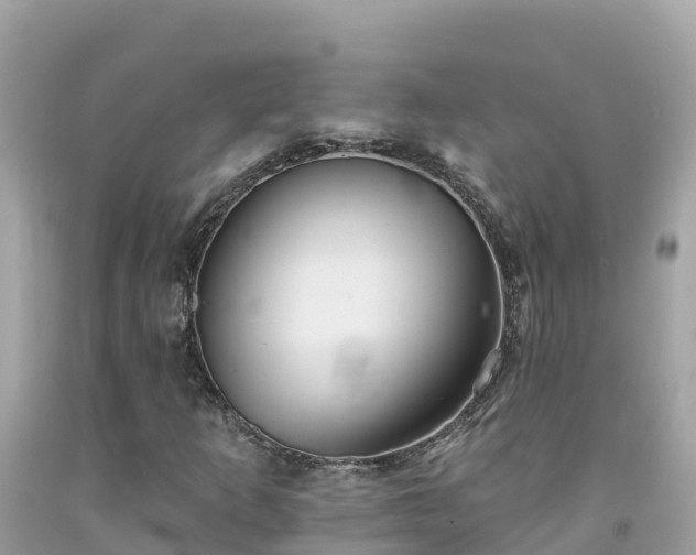 X0000092011253200709131527