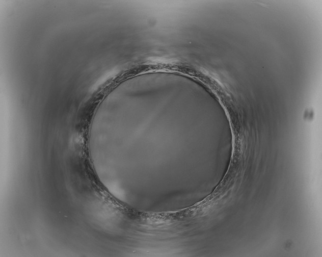 X0000092011254200709131527