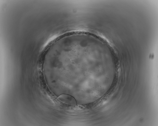 X0000092011255200709131527