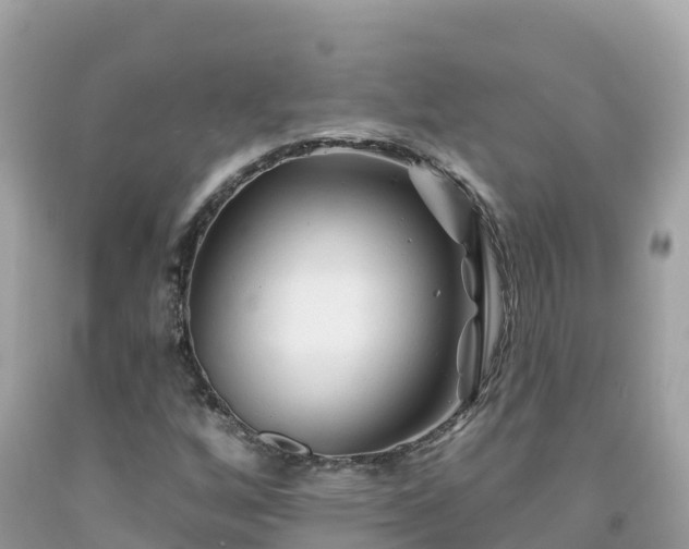 X0000092011256200709131527