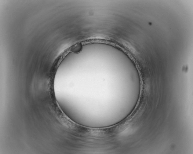 X0000092011258200709131527