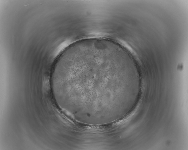 X0000092011259200709131527