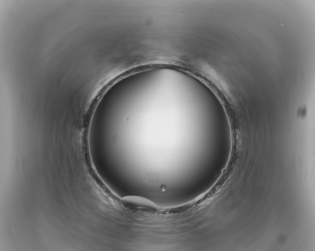 X0000092011260200709131527