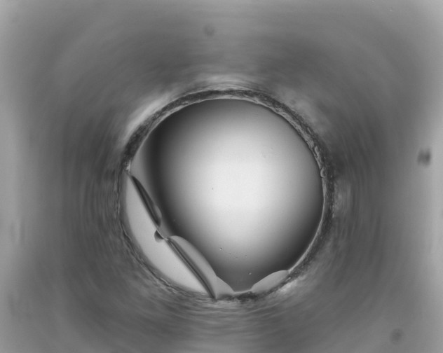X0000092011261200709131527