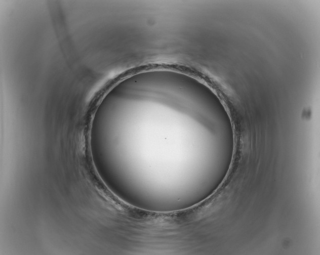 X0000092011262200709131527