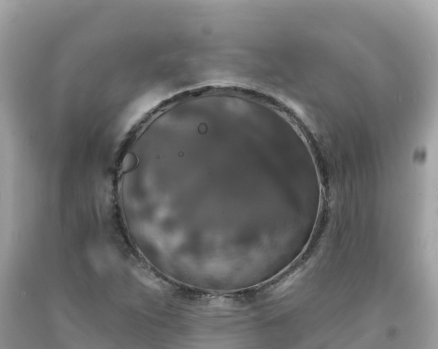 X0000092011263200709131527