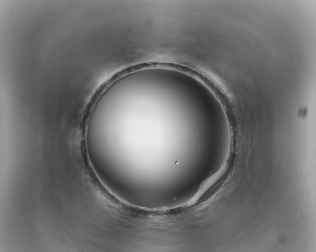 X0000092011264200709131527
