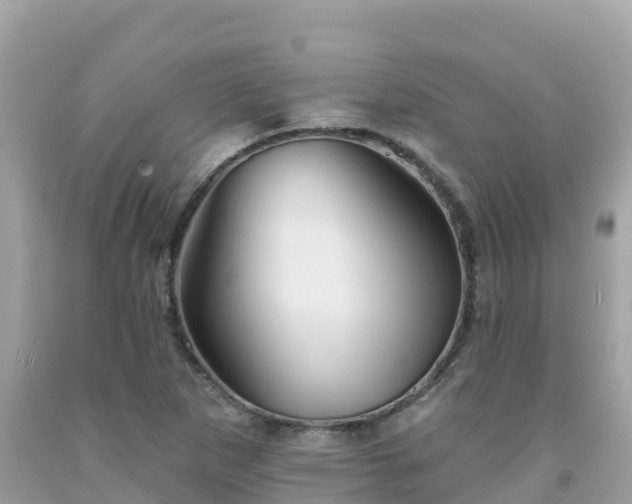 X0000092011265200709131527