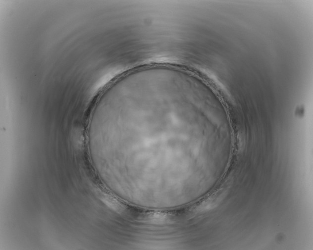 X0000092011266200709131527