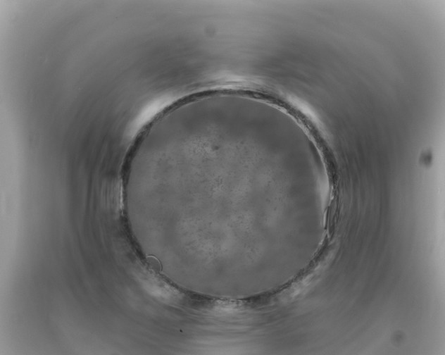 X0000092011267200709131527