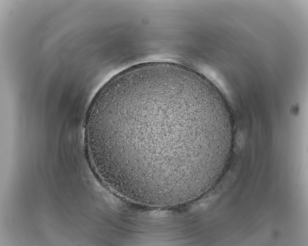 X0000092011268200709131527