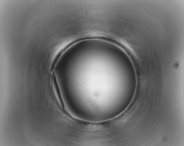 X0000092011269200709131527