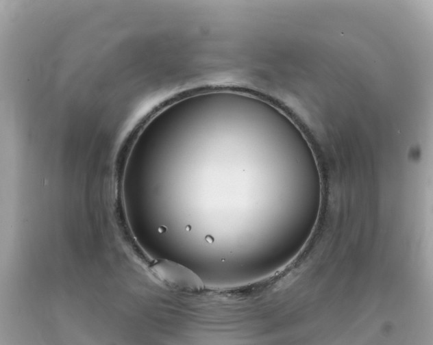X0000092011270200709131527