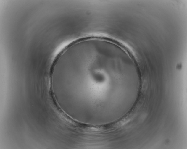 X0000092011271200709131527