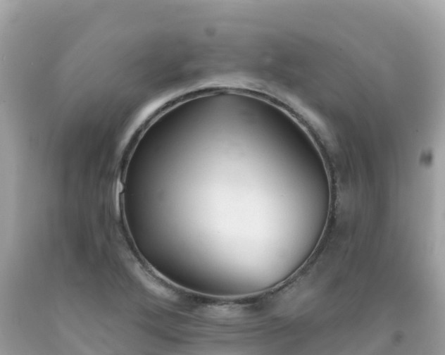 X0000092011272200709131527