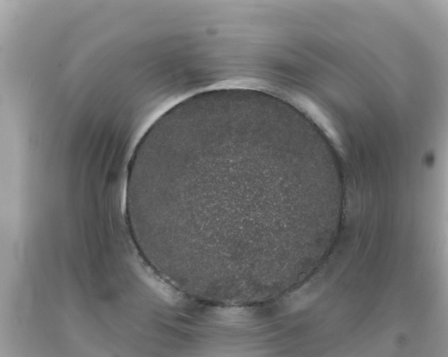 X0000092011276200709131527