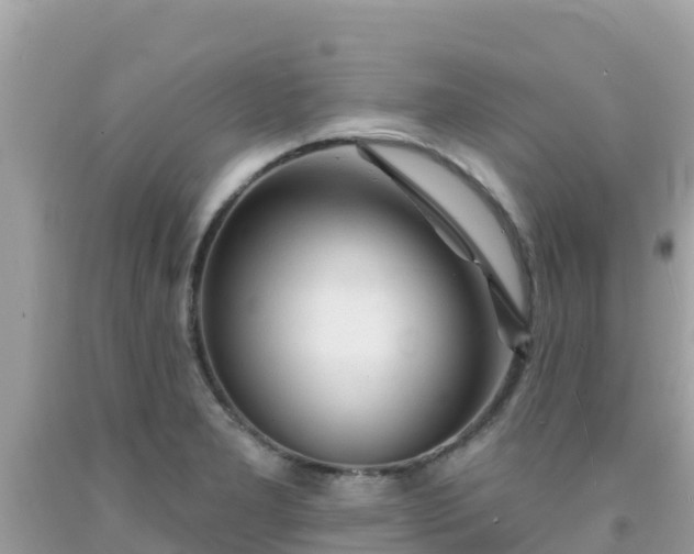 X0000092011277200709131527