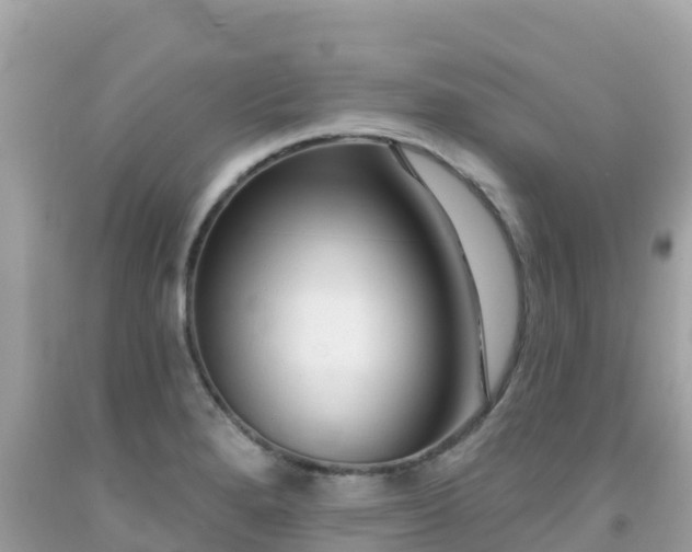 X0000092011280200709131527