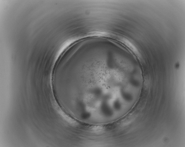 X0000092011283200709131527
