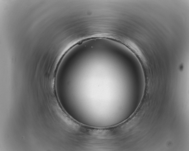 X0000092011284200709131527