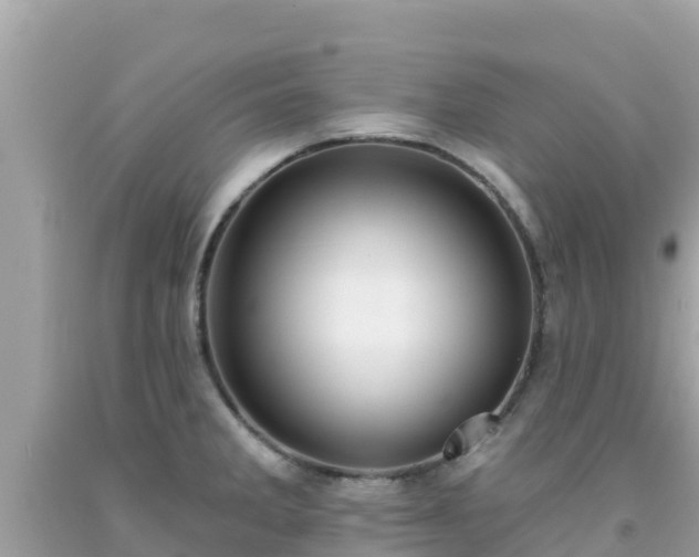 X0000092011285200709131527