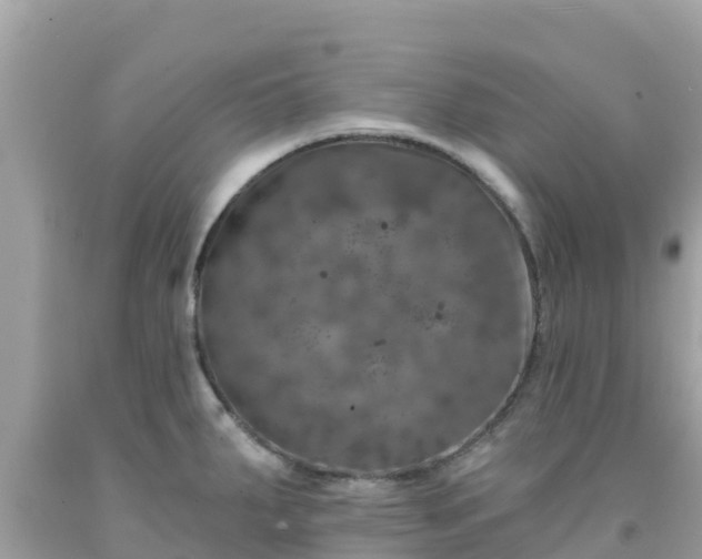 X0000092011287200709131527