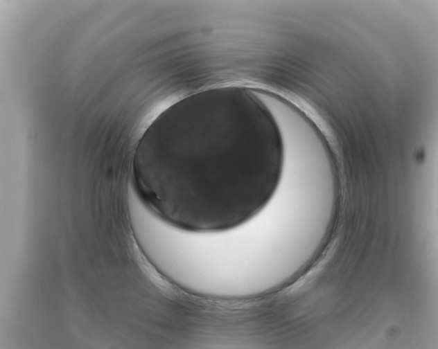 X0000092011289200709131527