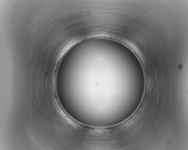 X0000092011290200709131527