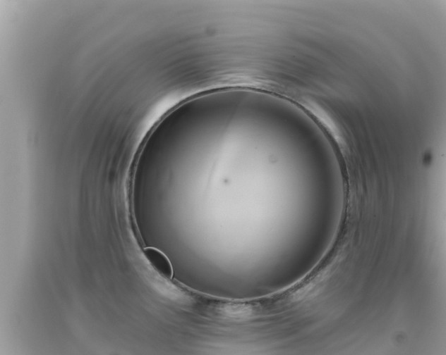 X0000092011291200709131527