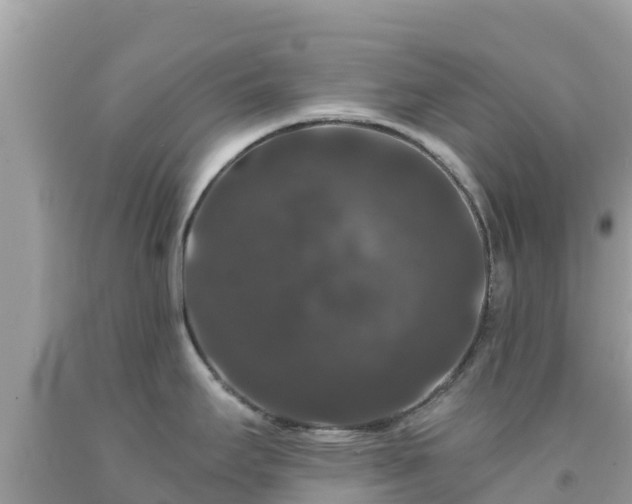 X0000092011295200709131527
