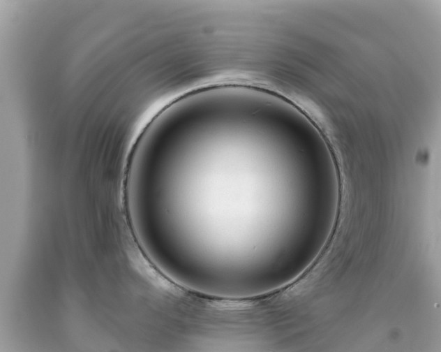 X0000092011296200709131527