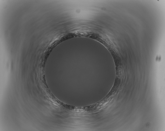 X0000092011297200709131526