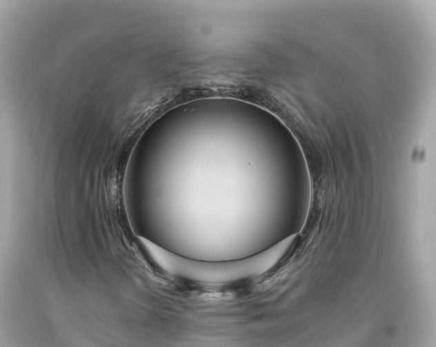 X0000092011298200709131526