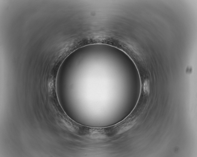 X0000092011299200709131526