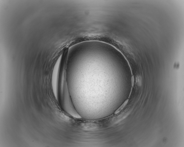 X0000092011300200709131526