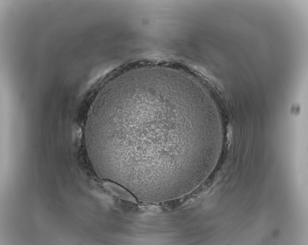 X0000092011302200709131526