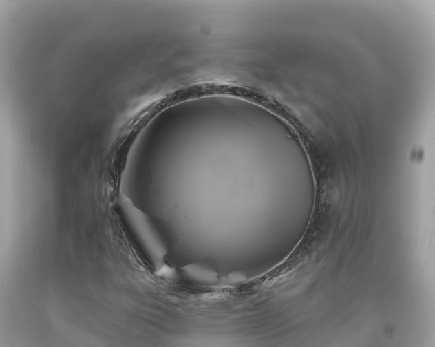 X0000092011303200709131526