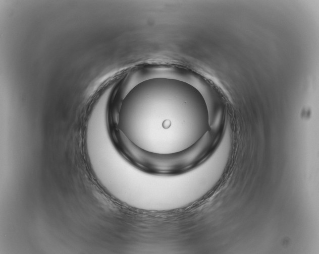 X0000092011304200709131526