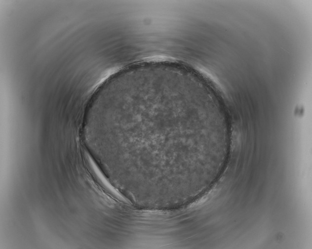 X0000092011305200709131526