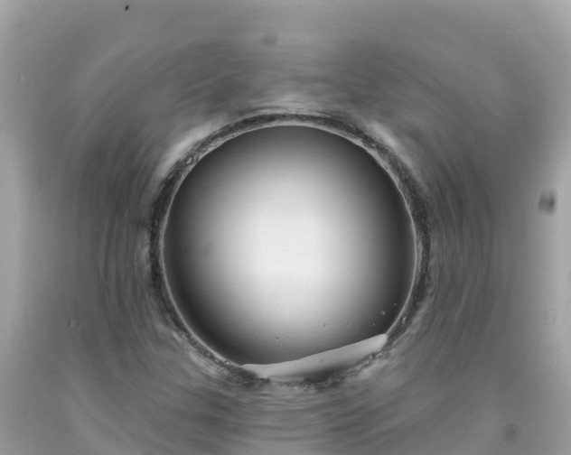 X0000092011307200709131526