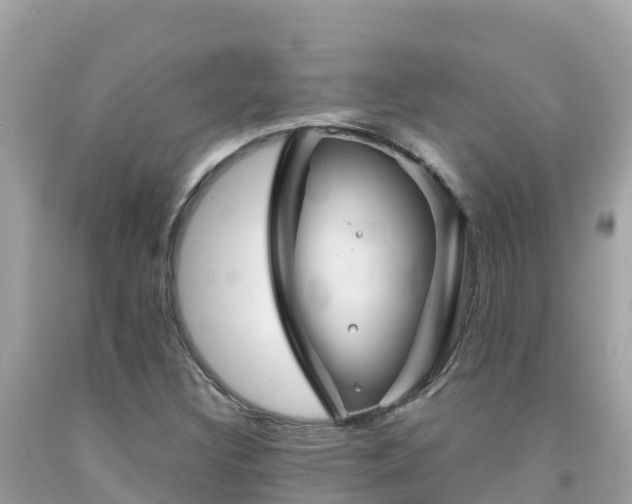 X0000092011308200709131526