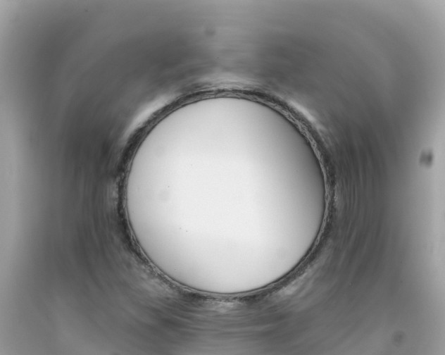 X0000092011309200709131526