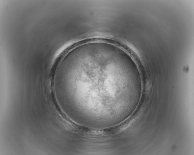 X0000092011310200709131526